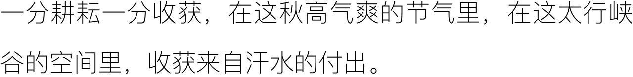 1662623764764743.png